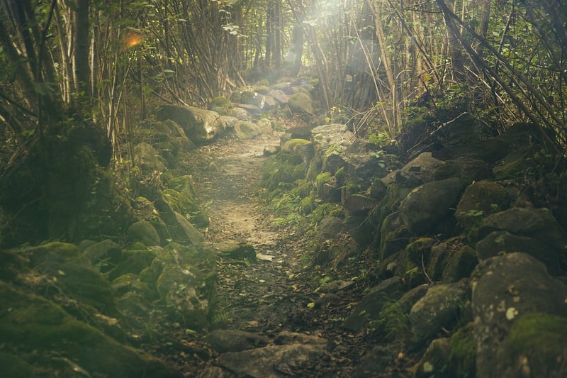 Mystical Mossy Accents