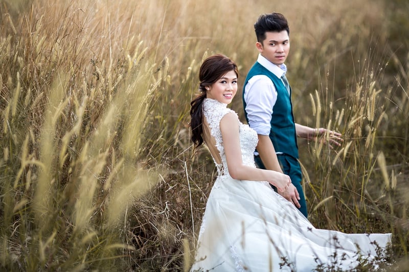 Twilight Meadow Reception